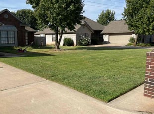 Jacqueline G.'s Lawn Service service result
