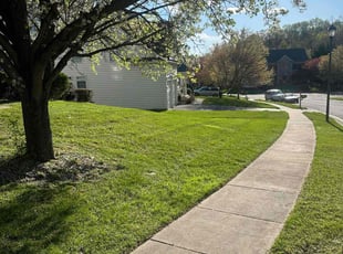 Alesha W.'s Lawn Care service result