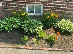 Weeding by Evans Ogamba for Caitlin C. in Harrisburg, PA