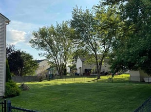 David B.'s Grass Cutting service result