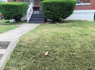 Bush Trimming by Lori Engebretson for James DUPLICATE B. in Louisville, KY