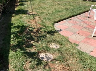 Cleanups by Alexander Stevenson for Elissa A. in Burbank, CA