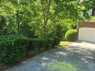 Bush Trimming by Alan Clark for Megan H. in Decatur, GA
