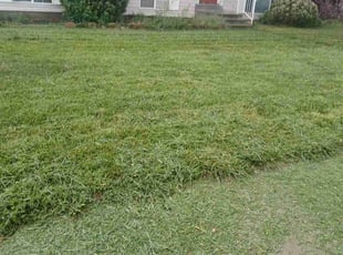 Prabhu R.'s Grass Cutting service result