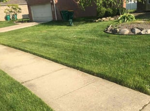 Bryan R.'s Lawn Care service result