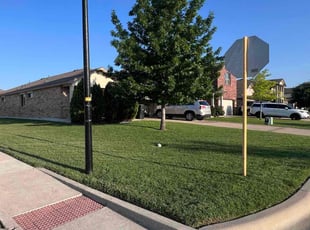 Dennis B.'s Lawn Care service result