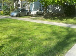 Jamie H.'s Lawn Mowing Service service result