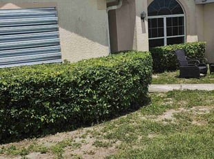 Bush Trimming by Ernesto Montalvo for Theodore L. in Cape Coral, FL