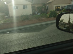 Leaf Removal by Brandon Gates for Gina M. in Monterey Park, CA