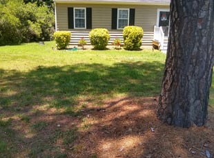 Bush Trimming by Dave Henley for Kelly M. in Glen Allen, VA