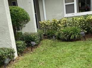 Bush Trimming by Liliana Ochoa-Pascual for Joseph S. in Clearwater, FL