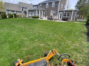 Jeanne N.'s Lawn Mowing Service service result