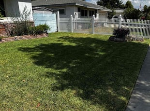 Ryan P.'s Yard Cutting service result