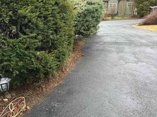 Bush Trimming by Wally Krake for Sheena B. in Sparta, NJ