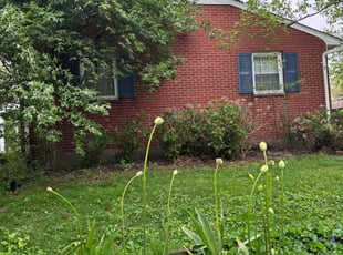 Leaf Removal by Corey Dietz for Nate W. in Dayton, OH