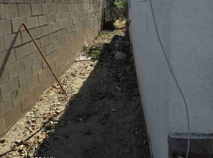 Cleanups by Jose Hernandez for Tamara J. in Hemet, CA