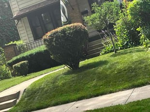 Bush Trimming by Dontrell Hood for Karl R. in Milwaukee, WI