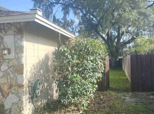 Bush Trimming by Willie Carmichael Jr for Nathan E. in Longwood, FL