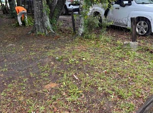 Leaf Removal by Walter Sandoval for Bee R. in North Charleston, SC