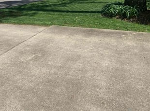 Nicole D.'s Lawn Mowing service result