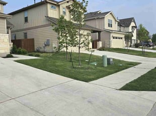 Haritha T.'s Lawn Care service result