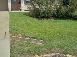 Doris T.'s Lawn Service service result