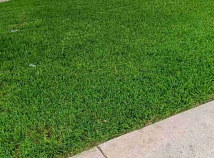 Sharity B.'s Lawn Mowing Service service result