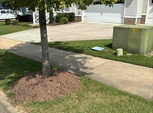 Dan W.'s Lawn Mowing service result