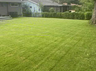 Kathy S.'s Lawn Mowing service result