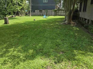 Brenda G.'s Lawn Mowing Service service result