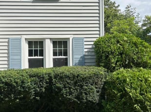 Bush Trimming by James Serio for Paul B. in Rochester, NY