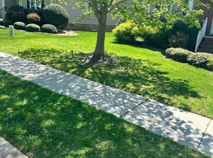 Melanie H.'s Lawn Service service result