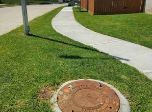 Trisha May C.'s Lawn Care service result