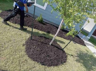 Mulching by Manuel Solis Soto for Ashley W. in Princeton, TX