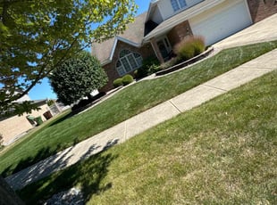 Bruno T.'s Lawn Care service result