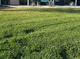 Jess J.'s Lawn Mowing service result