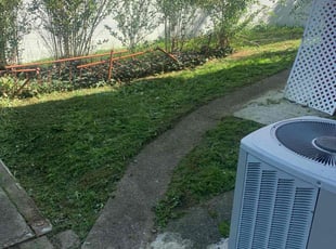Roberto R.'s Lawn Care service result