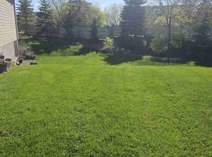 Leland D.'s Lawn Service service result