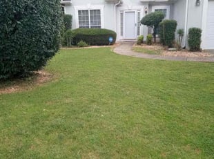 Bush Trimming by Daniel Burse for Henry W. in Marietta, GA