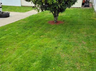 Takewa B.'s Lawn Service service result