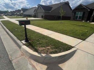 Momen B.'s Lawn Mowing service result