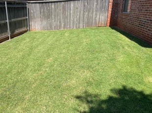 Jennifer L.'s Lawn Maintenance service result