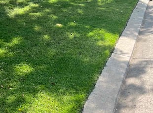 Fred T.'s Grass Cutting service result