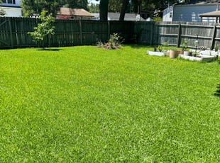 Tyler A.'s Lawn Mowing service result
