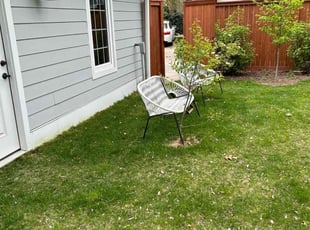 Leaf Removal by Quinlen Dean for Christopher A. in Washington, DC