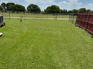 Chrissie W.'s Lawn Mowing service result