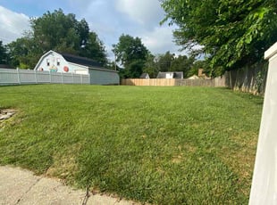 daniel s.'s Lawn Mowing service result