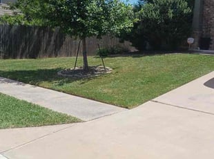 Cheryl R.'s Lawn Service service result