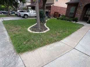 Adrian S.'s Lawn Maintenance service result