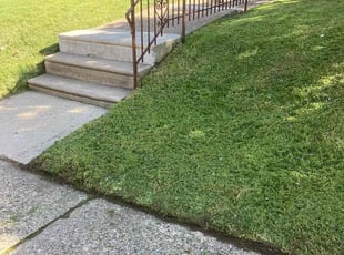 Jason D.'s Lawn Service service result